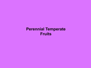 Perennial Temperate Fruit Crops