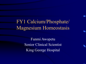 FY1 Calcium/Phosphate/ Magnesium Homeostasis