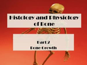 Histology and Physiology of Bone