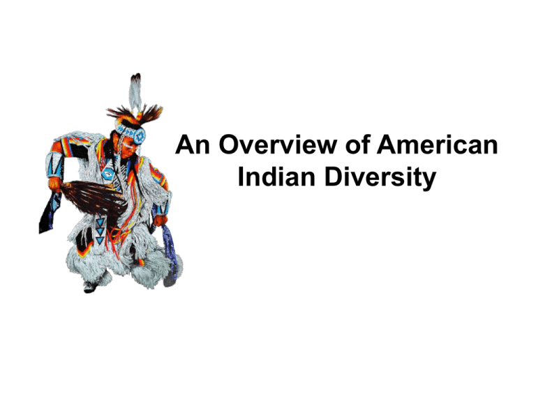 american-indian-and-alaska-native