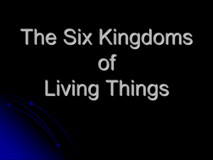 6 Kingdoms PPT
