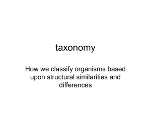 Taxonomy- Powerpoint