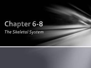 Chapter 6-8