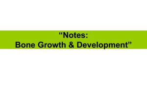 “Notes: Bone Growth & Development”