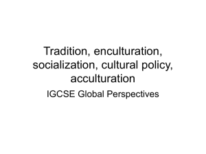 Tradition, socialization, cultural policy