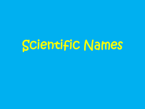 Scientific Names PPT