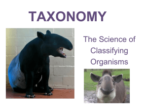 Taxonomy, Clades, Classification 10-8