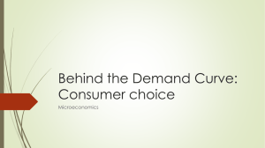 Consumer Choice Consumer choice2_2