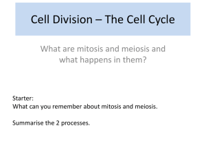 Cell Division * The Cell Cycle