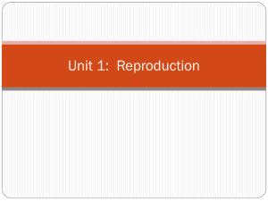 Reproduction Unit 2015