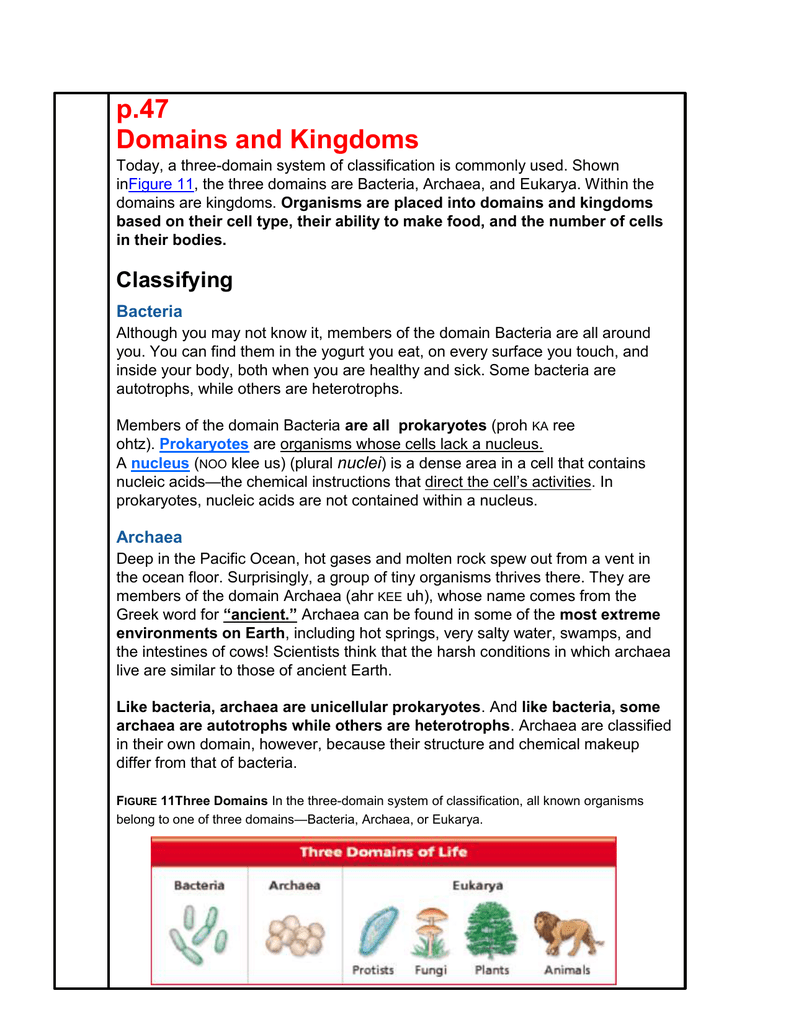 three domain system of classification pdf