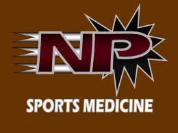 Anatomical Terms Worksheet