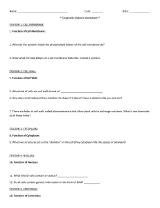 Name: Core: ______ Date: **Organelle Stations Worksheet