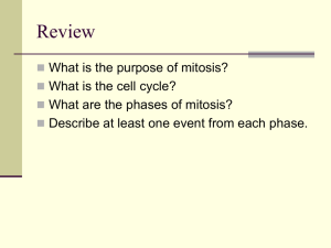 Ch. 12 Cell Cycle