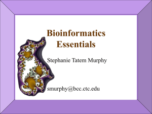 BCC Bioinformatics Overview