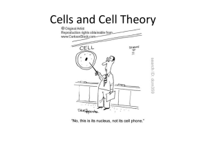 Cells and Cell Theory