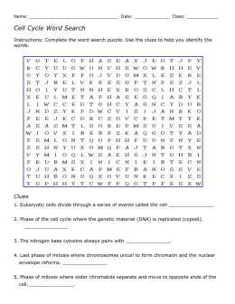 Mitosis Vocabulary