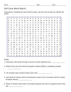 Cell Cycle Word Search