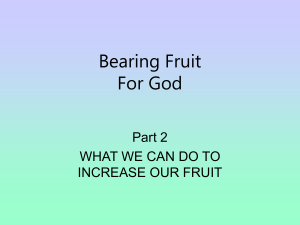 Bearing Fruit For God - Simple Bible Studies