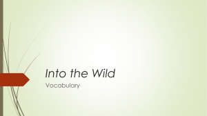 Into the Wild Vocabulary Fill in the blank