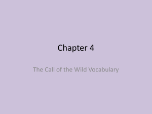 Chapter 4 Vocab