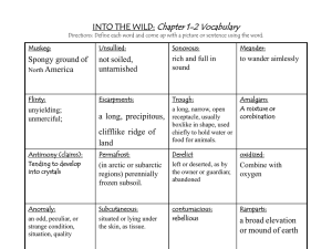 INTO THE WILD: Chapter 1-2 Vocabulary Directions