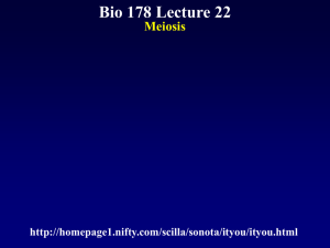 Biol 178 Lecture 22