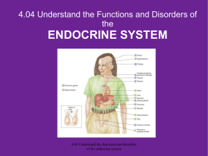 The Endocrine System - PCHS Health Science Education