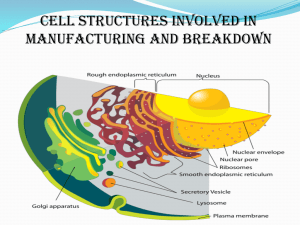 Membranous System Of Cell - Lectures For UG-5