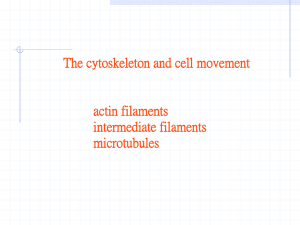 The Cytoskeleton and Cell Movem