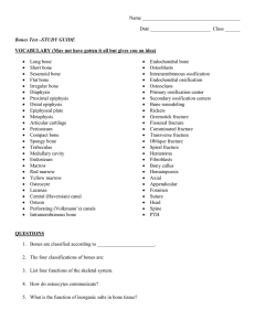 Name Date Class ______ Bones Test –STUDY GUIDE