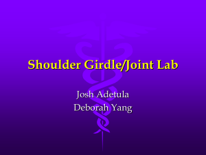 Shoulder Girdle/Joint Lab