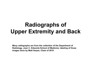Upper extremity and back radiographs