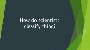 How do scientists classify thing?
