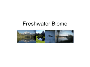 freshwater_biome_1