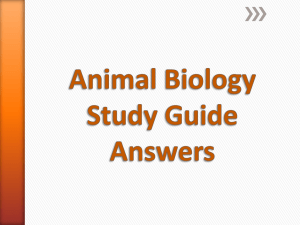 Animal Biology Study Guide Answers