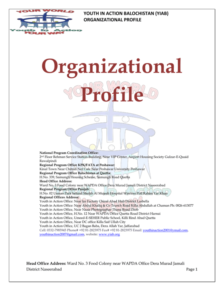 organizational-profile-template