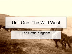Unit One: The Wild West