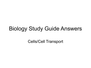 Biology Study Guide Answers