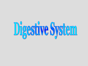 Digestive_Lecture