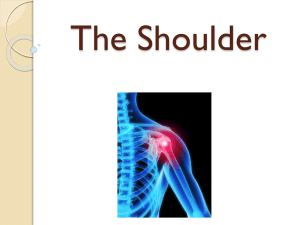 Shoulder Anatomy and Injuries
