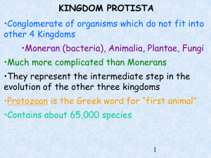 10_Protists_Kingdom