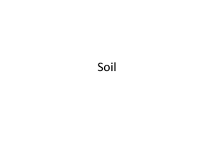 Soil