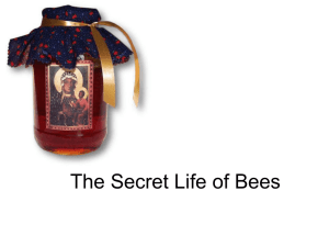 The Secret Life of Bees - Sewanhaka Central High School District