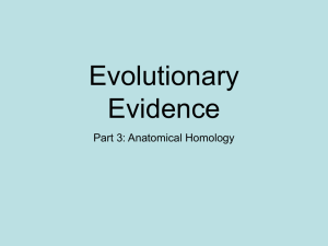 Evolutionary Evidence - Northwest ISD Moodle