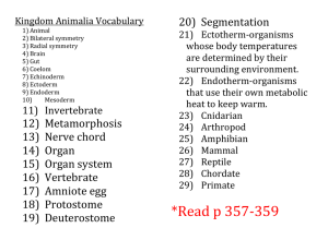 Kingdom Animalia Vocabulary