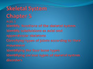 Skeletal System Chapter 5 ACOS 5 Identify functions of the skeletal