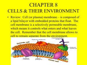 Three Types of Passive Transport