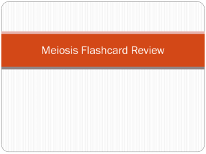 Meiosis Review - Cloudfront.net