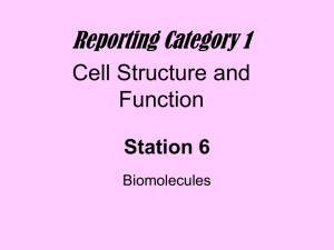 Station 6 - Biomolecules